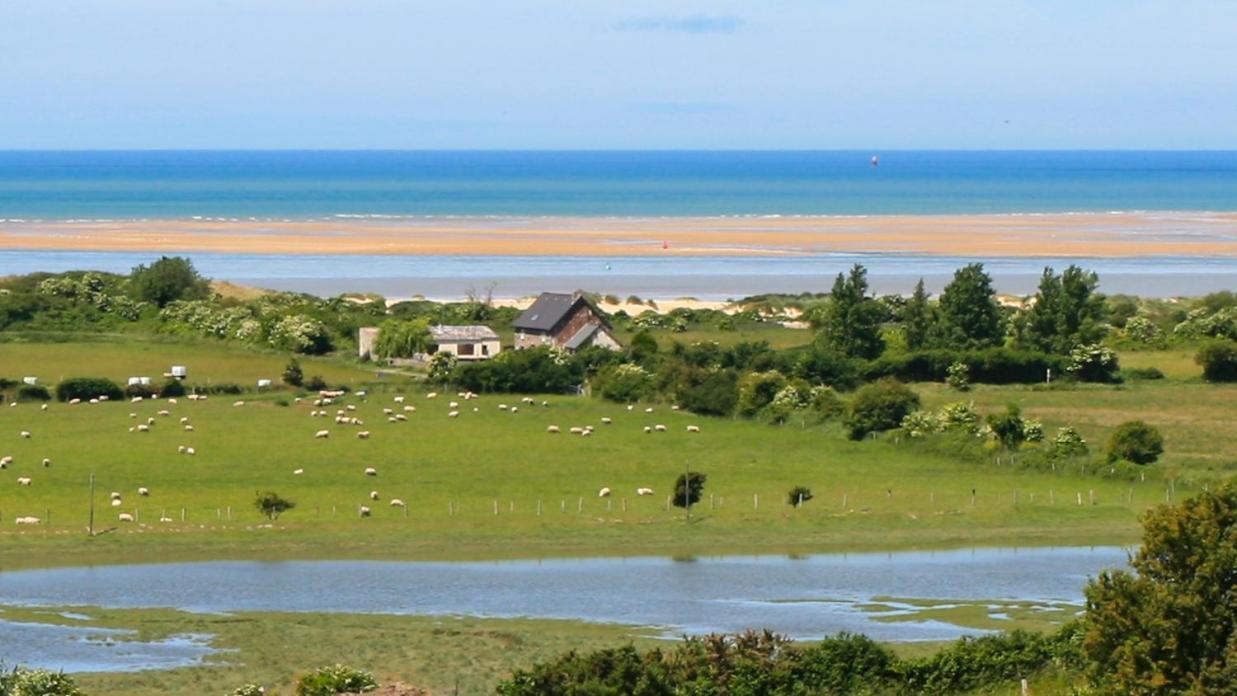 Вилла Le Marais Montmartin-sur-Mer Экстерьер фото
